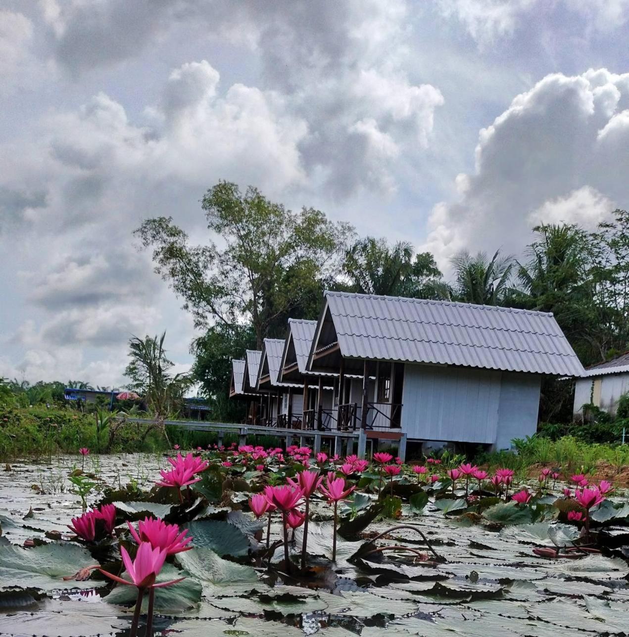 ปารมีฟาร์มสเตย์ Takuapa Экстерьер фото