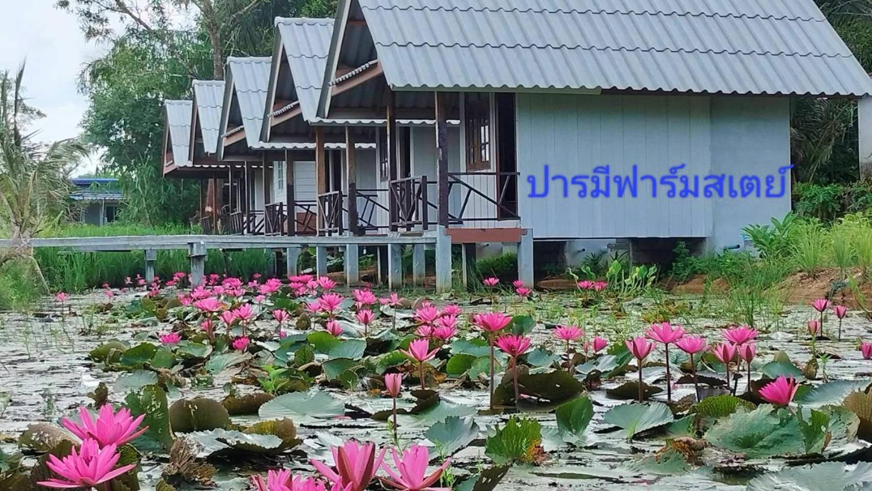 ปารมีฟาร์มสเตย์ Takuapa Экстерьер фото